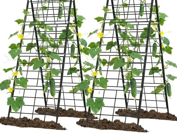Crop Trellis & Vertical Farming Supports Crop Trellis & Vertical Farming Supports
